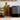 WeEarth 1.0 - De beste investering voor je keuken en tuin.